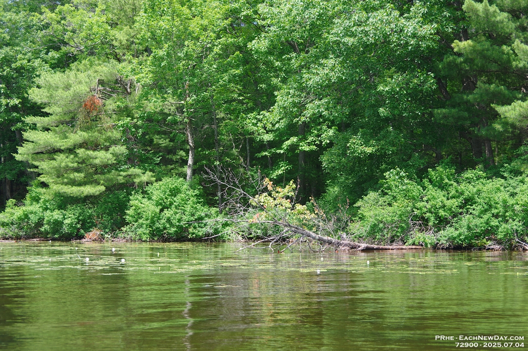 72900LeUsm - Kayaking on Muskoka Bay, Gravenhurst